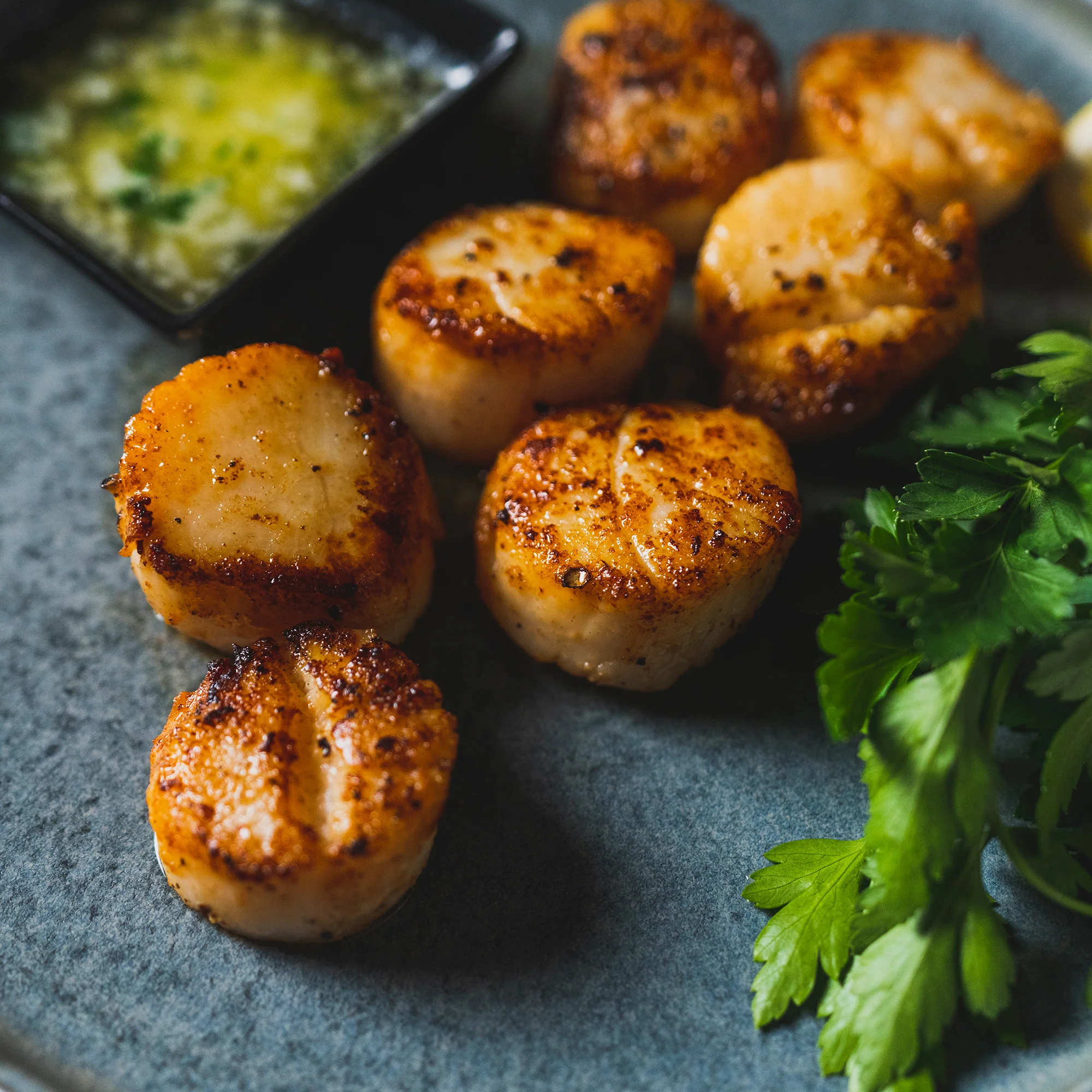Sea Scallops - Image 2